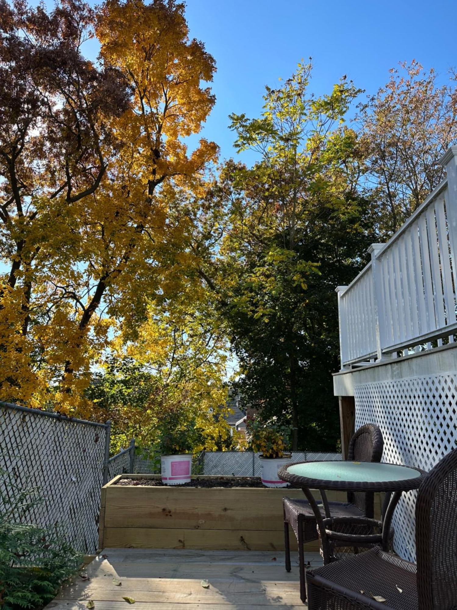 Villa Boston Single Family House - Super Quiet And Private Exterior foto